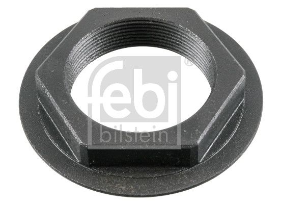 Nut, kingpin Volvo Lkw 8171338