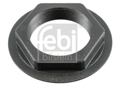 Nut, kingpin Volvo Lkw 8171338