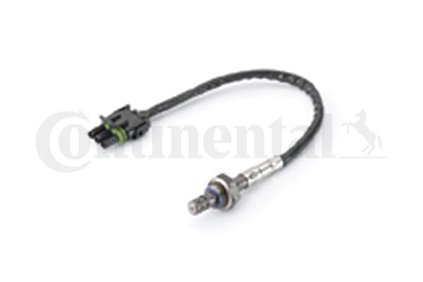 Oxygen Sensor
