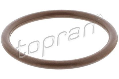 Seal Ring, turbo air hose VAG - WHT 001 386