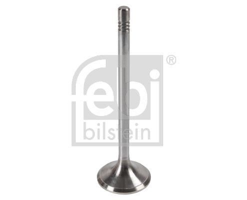 Exhaust Valve M A N 51041010548