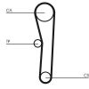 Timing Belt Kit CT 536 K1