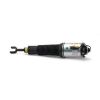 Air Suspension Strut AUDI - 4E0 616 040AB
