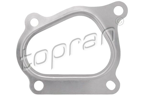 Gasket, charger Opel, Renault/Dacia, General Motors