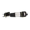 Air Suspension Strut MB E-Class (W211) 02-09 esi vasak 2113205338