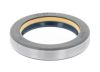 Shaft Seal, differential CASE 6190263M1