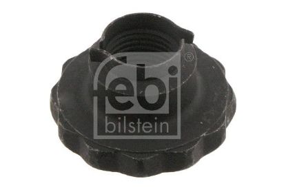 Nut, kingpin VW-Audi 6Q0 407 396 C