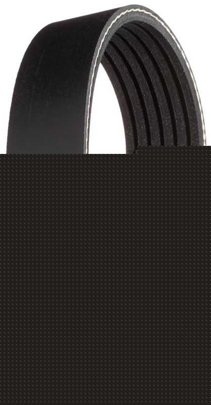 V-Ribbed Belt MERCEDES-BENZ - 012 997 55 92, PSA - 5750.RX