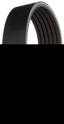 V-Ribbed Belt MERCEDES-BENZ - 012 997 55 92, PSA - 5750.RX