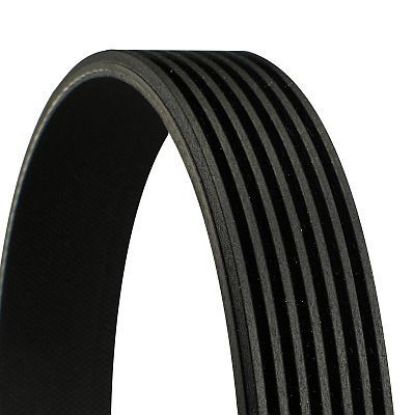 V-Ribbed Belt FORD - 1 129 181