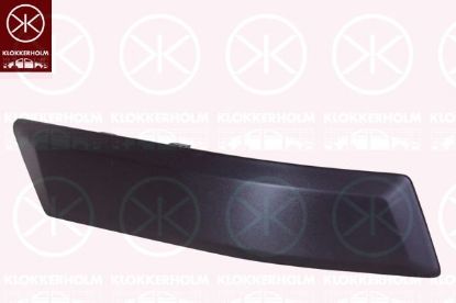 Trim/Protective Strip, bumper