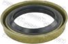 Shaft Seal, differential GM 12471590