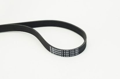 V-Ribbed Belt VAG - 6Q0 260 849E, PSA - 5750L2