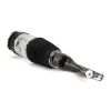 Air Suspension Strut Tesla 102736125E