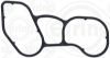 Gasket, oil cooler DEUTZ-KHD