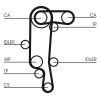 Timing Belt Kit VAG - 036198119E - 1.4 16V
