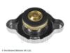 Cap, coolant tank HONDA 19045-RBD-E01