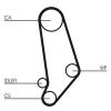 Timing Belt Kit CT 539 K1