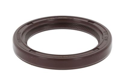 Shaft Seal, crankshaft Ford 1669254