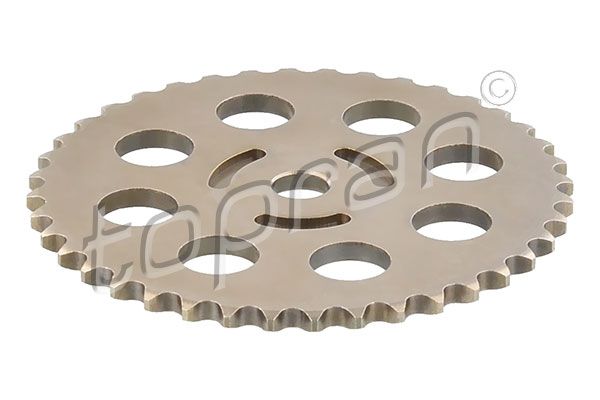 Gear/Sprocket, camshaft VAG
