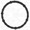 Gasket, timing case Ford USA BC3Z-6020-BA