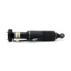 Air Suspension Strut MB SL-Class (R230) 03-06 2303202813