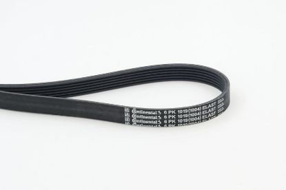 V-Ribbed Belt FORD - 1 143 407