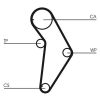 Timing Belt Kit CT 973 K1