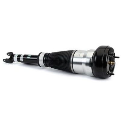 Air Suspension Strut Fr Lt Eibach Air Strut - 13- MB S-Cls/Mayb. (W222