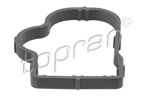 Gasket, intake manifold Opel, General Motors