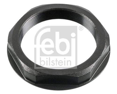 Nut, kingpin Volvo Lkw 1522384