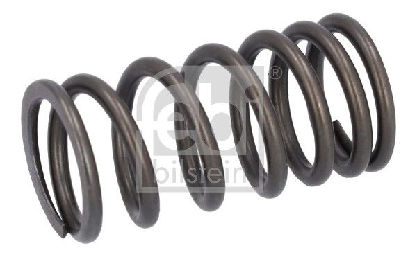 Valve Spring DAF 1821 685