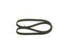 V-Ribbed Belt VAG - 06A 145 933 D - 6PK1125