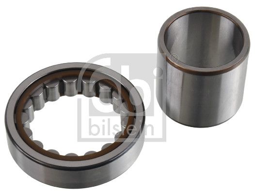 Wheel Bearing Iveco 0 4206 2903