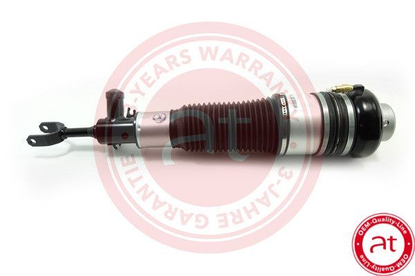Air Suspension Strut VAG 4E0 616 039 AA