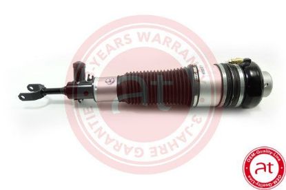 Air Suspension Strut VAG 4E0 616 039 AA