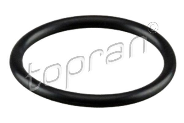 Sealing Ring, coolant line