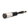 Air Suspension Strut 03-06 Mercedes-Benz S-Class (W220)