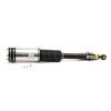 Air Suspension Strut 03-06 Mercedes-Benz S-Class (W220)