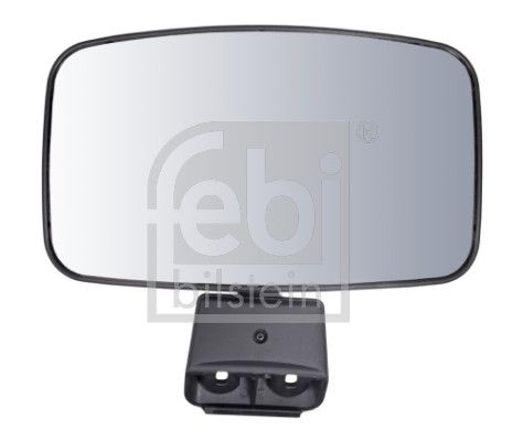 Ramp Mirror DAF - 1669 573