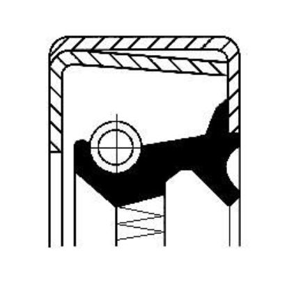 Shaft Seal, differential IVECO 2479497