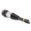 Air Suspension Strut 04-10 Jaguar XJ Series (X350, X358)