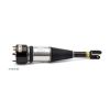 Air Suspension Strut 04-10 Jaguar XJ Series (X350, X358)