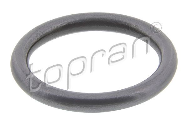 Seal Ring, injector GOLF II (19E, 1G1), PASSAT