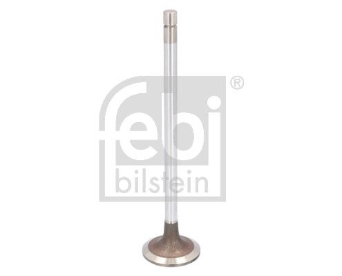 Intake Valve Fiat PKW 500355778