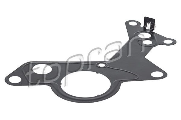 Gasket, vacuum pump
