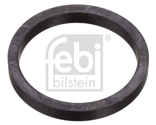 Seal Ring, coolant tube Volvo Lkw 423281