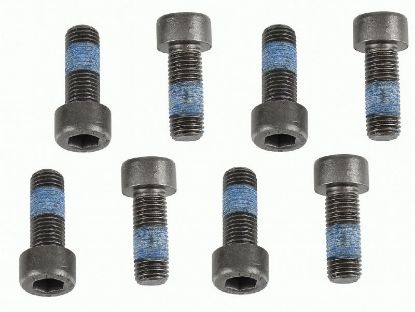 Screw Set, flywheel SACHS SERVICETEIL SCHRAUBENSAT