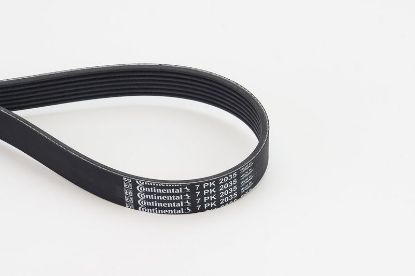 V-Ribbed Belt MERCEDES-BENZ - 642 997 02 92