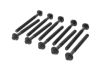 Cylinder Head Bolt Set PSA